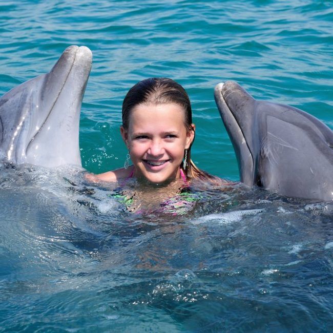 Séjour Multi-activités Bahamas : nager avec les requins / adopter un dauphin